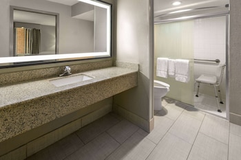 Room, 1 King Bed, Accessible