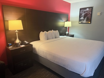 Room, 1 King Bed, Non Smoking