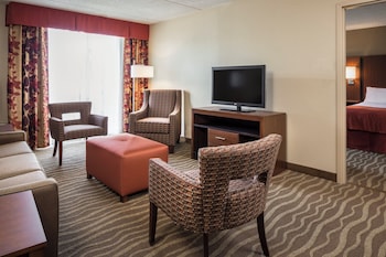 Suite, 1 Bedroom (Living Area)