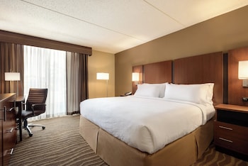 Room, 1 King Bed, Accessible (Mobility Roll-In Shower)