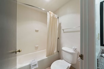 Standard Room, Multiple Beds, Non Smoking