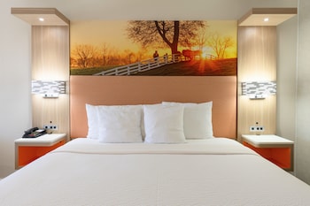 Standard Room, 1 King Bed, Non Smoking