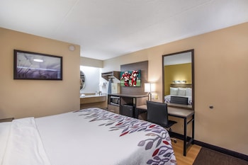 Deluxe Room, 1 King Bed (Smoke Free)