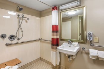 Superior Room, 1 King Bed, Accessible (Roll-In Shower, Smoke Free)