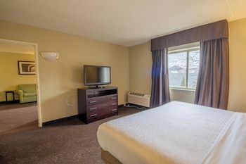 Suite, 1 King Bed