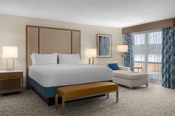 Room, 1 King Bed, Microwave