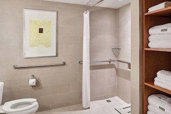 Room, 1 King Bed, Roll-in Shower