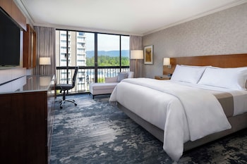 Room, 1 King Bed, Pool View