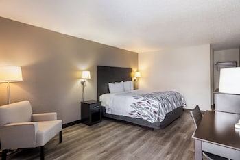 Superior Room, 1 King Bed, Non Smoking