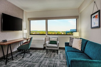 Suite, 1 King Bed with Sofa bed