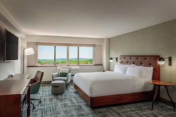 Room, 1 King Bed (Pure)
