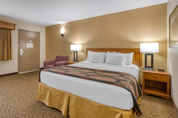 Standard Room, 1 King Bed, Non Smoking, Refrigerator & Microwave