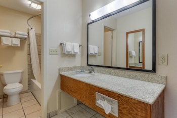 Standard Room, 1 King Bed, Non Smoking, Refrigerator & Microwave
