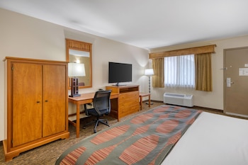 Standard Room, 1 King Bed, Non Smoking, Refrigerator & Microwave