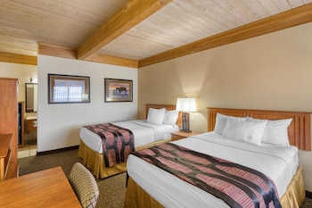 Standard Room, 2 Double Beds, Non Smoking, Refrigerator & Microwave