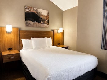 Queen Jacuzzi Suite - No Pets