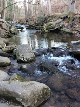Creekside Two Doubles - No pets
