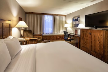 Room, 1 King Bed