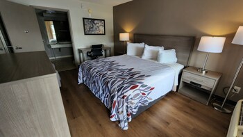 Superior Room, 1 King Bed, Accessible (Roll-In Shower, Smoke Free)
