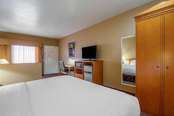 Room, 1 King Bed with Sofa bed, Non Smoking
