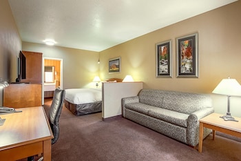 Room, 1 King Bed with Sofa bed, Non Smoking