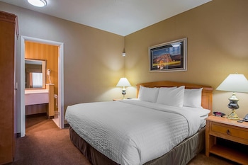 Room, 1 King Bed with Sofa bed, Non Smoking
