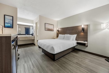 Room, 1 Queen Bed, Non Smoking