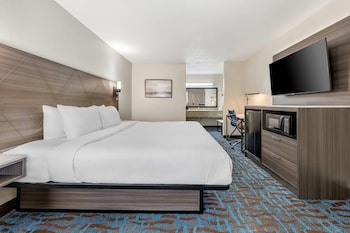 Business Room, 1 King Bed, Non Smoking