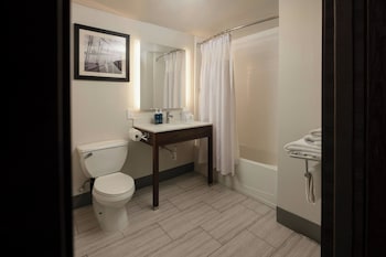 Suite, 1 Bedroom, Mobility Accessible, Bathtub
