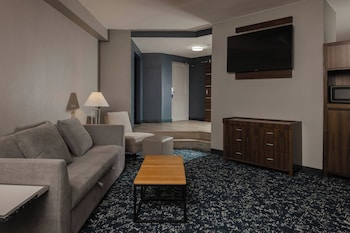 Suite, 1 King Bed with Sofa bed