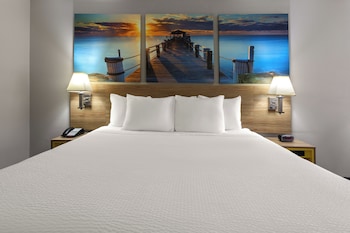Standard Room, 1 King Bed, Accessible