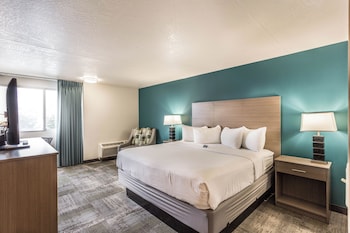 Room, 1 King Bed, Non Smoking, Pool View