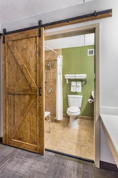 Room, 2 Queen Beds, Roll-in Shower