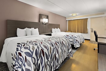 Standard Single Room, 2 Double Beds (Smoke Free)