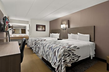 Standard Single Room, 2 Double Beds (Smoke Free)