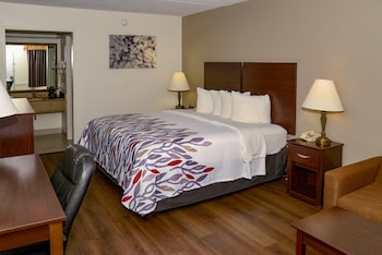 Superior Room, 1 King Bed, Non Smoking