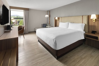 Standard Room, 1 King Bed, Mobility Accessible (Accessible Shower)