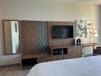 Premium Room, 1 King Bed, Mountain View