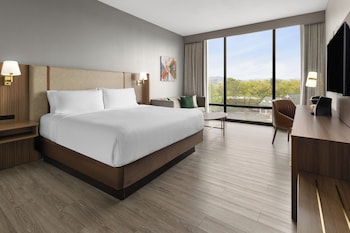 Premium Room, 1 King Bed, Mountain View