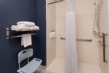 Room, 1 Queen Bed, Roll-in Shower