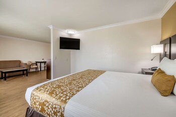 Studio Suite, 1 King Bed, Non Smoking