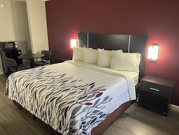 Superior Room, 1 King Bed, Roll-in Shower, Non Smoking