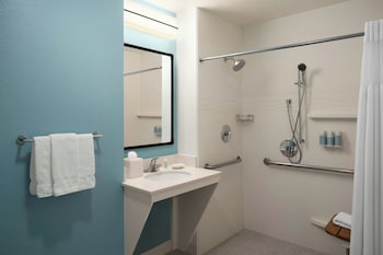 Studio, 1 King Bed with Sofa bed (Mobility/Hearing Access, Roll-In Shwr)