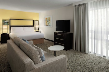 Studio, 1 King Bed with Sofa bed