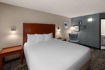 Deluxe Room, 1 King Bed, Non Smoking, Terrace