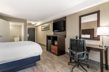 Standard Room, 1 King Bed, Non Smoking