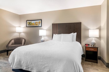 Suite, 1 King Bed, Non Smoking