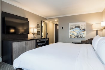 Premium Room, 1 King Bed with Sofa bed (High Floor)