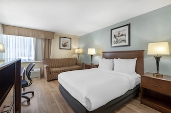 Standard Room, 1 Queen Bed, Accessible, Non Smoking