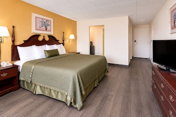 Standard Room, 1 King Bed, Non Smoking